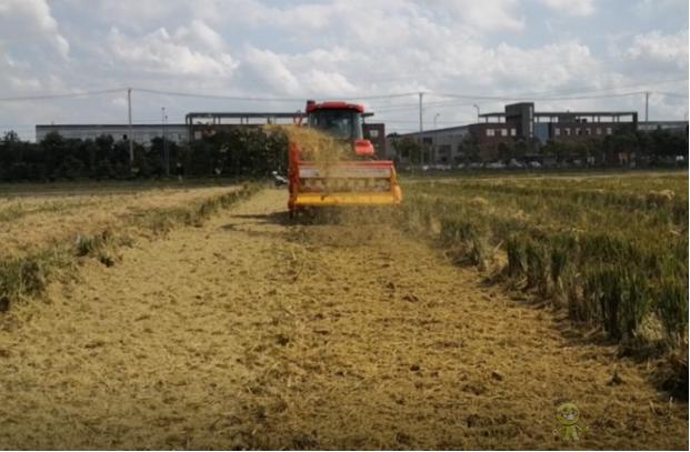 南京农机化所破解小麦高质量机械化播种难题
